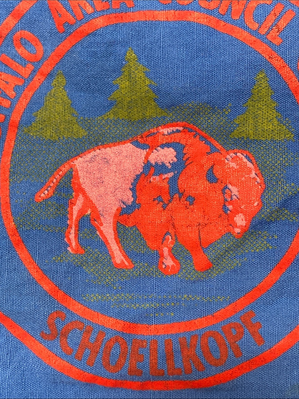 Blue Vintage Buffalo Area Council Camps Staff Bandana Scarf